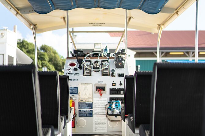 2.5 Hour Whale Escape Tour - Eco-friendly touches that actually matter on a 2.5-hour trip