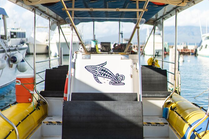 2.5 Hour Whale Escape Tour - Who can join, who should not, and the family fit