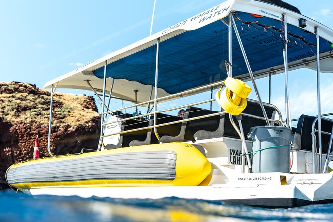2.5 Hour Whale Escape Tour - The onboard marine naturalist: what to listen for while you scan