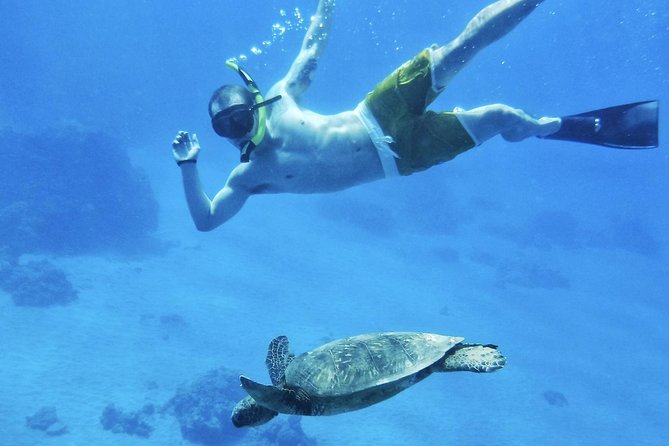 2.5 Hour Xpress Snorkel from Ka’anapali Beach - Mala Wharf reef is the main reason to book