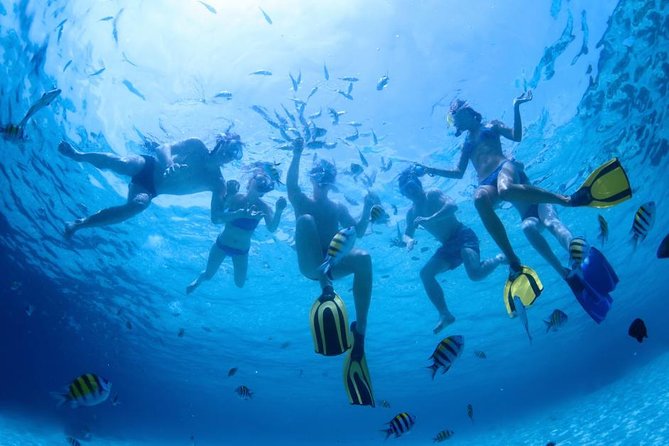 2.5 Hour Xpress Snorkel from Ka’anapali Beach - Where you meet Sea Maui and what check-in feels like