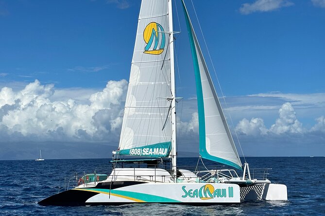 2.5 Hour Xpress Snorkel from Ka’anapali Beach - Getting geared up, plus safety you can feel