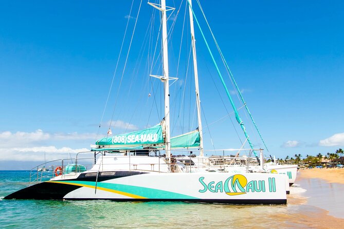 2.5 Hour Xpress Snorkel from Ka’anapali Beach - Price and value: is $134.62 actually a good deal?