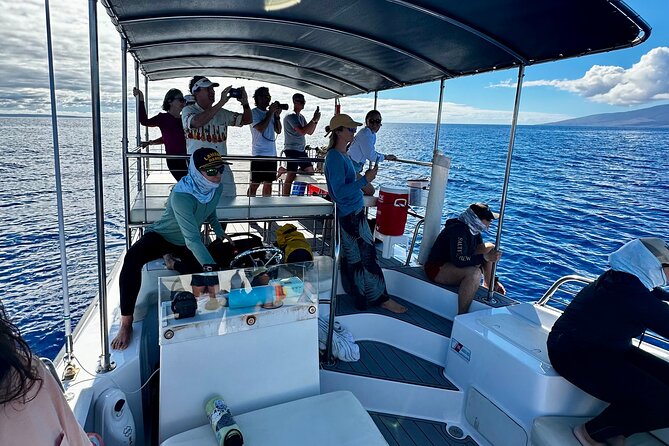 2 Hour Afternoon Lahaina Whale Watch - Meeting at Mala Boat Ramp: timing and the no-shoes cruise