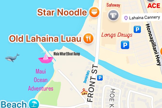 2 Hour Afternoon Lahaina Whale Watch - Who this tour fits best (and who should think twice)