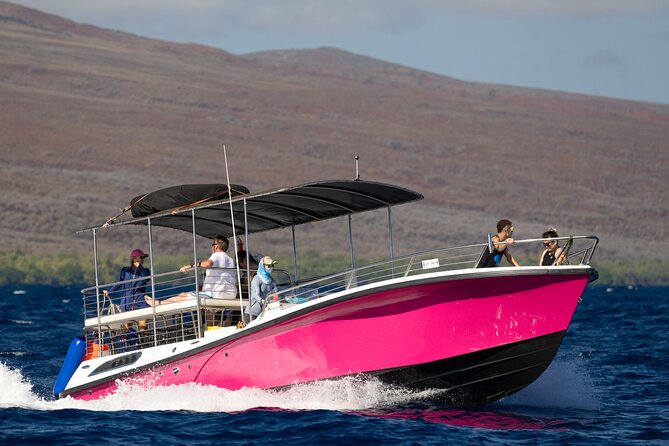 2 Hour Afternoon Lahaina Whale Watch - Value for your time: why two hours can be the sweet spot