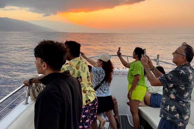 2 hour Lahaina Sunrise Whale Watch - Finding whales in Maui waters: what the captain is watching for