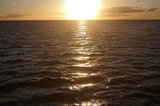 2-Hour Maalaea Luxury Powerboat Sunset Cruise for up to 6 Guests - Coral Gardens, the reef you can reach only by boat