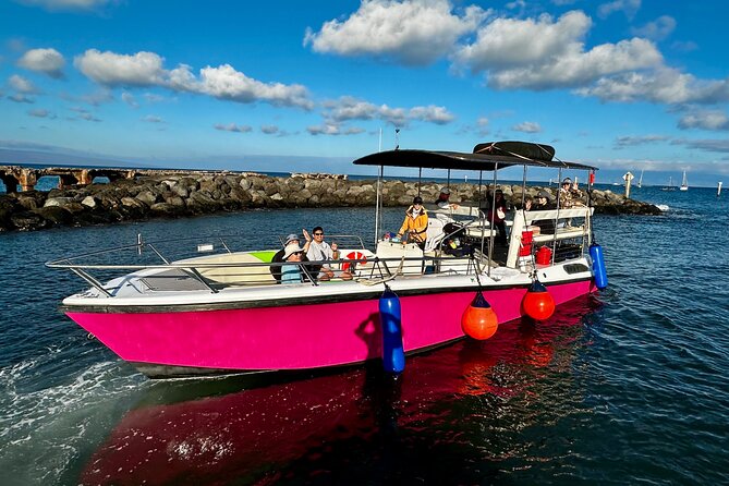 2 Hour Prime Time Maui Whale Watching - Comfort notes: motion, deck space, and sea sickness prep
