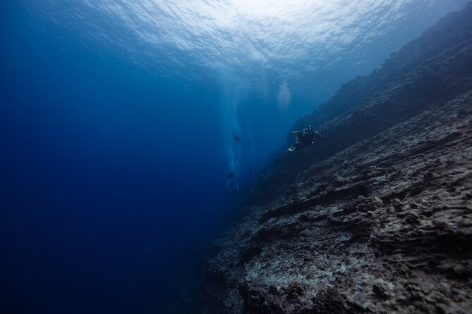 2-Tank Dive Featuring the Molokini Crater - Key highlights to know before you go