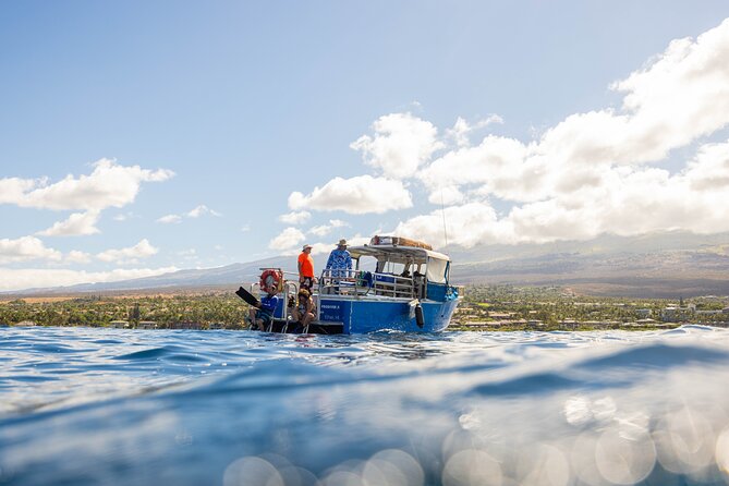2-Tank Dive Featuring the Molokini Crater - Why Molokini Crater is worth a 6:15 am start