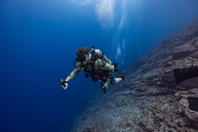 2-Tank Dive Featuring the Molokini Crater - Stop 1: Molokini Crater Marine Preserve