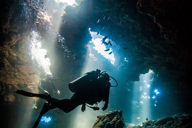 2 Tank Lanai Cathedral Scuba Dive Via Boat for Certified Divers - Key things I’d watch for on the Lanai Cathedrals two-tank trip