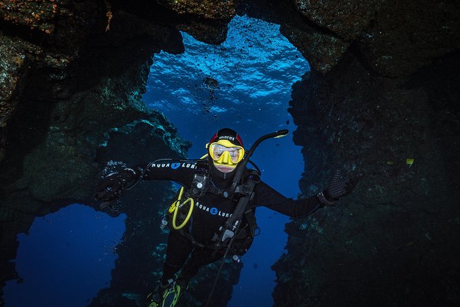 2 Tank Lanai Cathedral Scuba Dive Via Boat for Certified Divers - From Lahaina to Lanai, with wildlife stops built in
