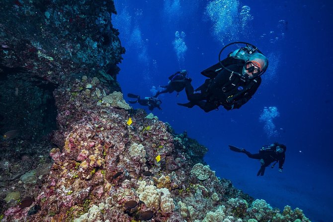 2 Tank Lanai Cathedral Scuba Dive Via Boat for Certified Divers - Lanai Cathedrals: caverns, arches, lava shoots, and swim-throughs