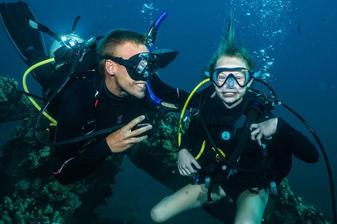 2-Tank Maui Turtle Scuba Dive or Snorkel Boat Tour - Key things I’d bet on before you book
