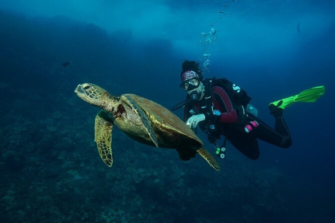 2-Tank Maui Turtle Scuba Dive or Snorkel Boat Tour - Who this tour fits best, and who should skip it
