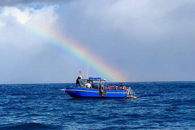 3-Tank Dive Featuring the Molokini Crater - The 4.5-hour rhythm: how a 3-tank schedule stays sane
