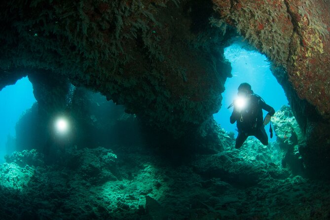 3-Tank Dive Featuring the Molokini Crater - Stop 2 on Maui: why the second underwater stop can make or break the day