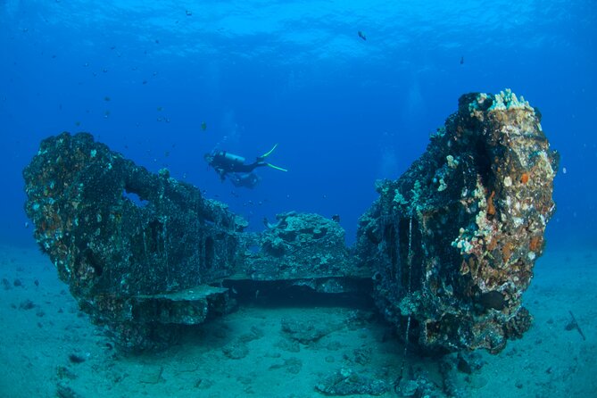 3-Tank Dive Featuring the Molokini Crater - Crew size, one-on-one attention, and what it feels like in practice