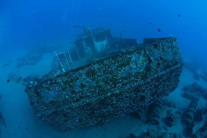 3-Tank Dive Featuring the Molokini Crater - Price, value, and who gets the best deal at $375