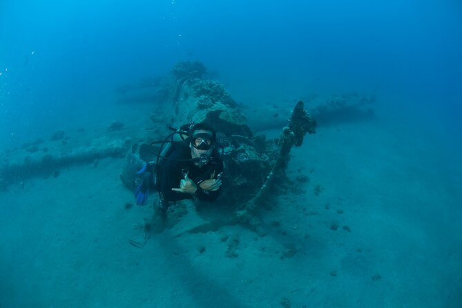 3-Tank Dive Featuring the Molokini Crater - Weather and wildlife odds: what you can control