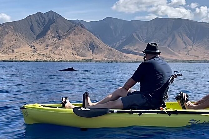 4 hour Private Custom Kayak Tour Lahaina - Fishing for dinner: a fun idea, but plan for the day to be the main event