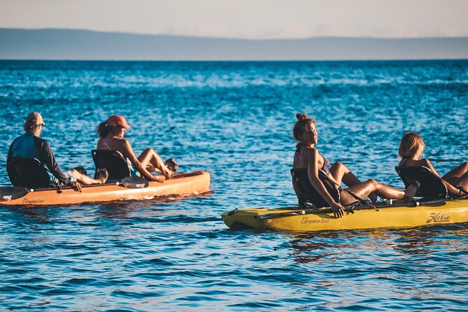 4 hour Private Custom Kayak Tour Lahaina - When cancellation, weather, and timing still need a plan
