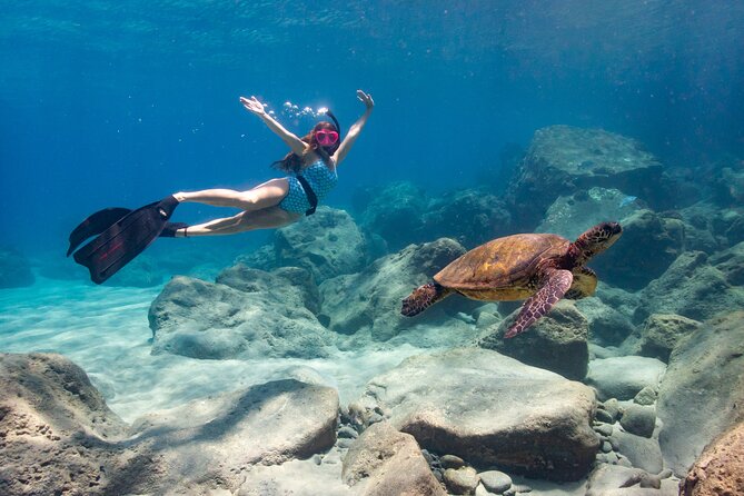 4 hour Private Custom Kayak Tour Lahaina - Your 4-hour menu at Olowalu: wildlife, Turtle Gardens snorkeling, bottom fishing