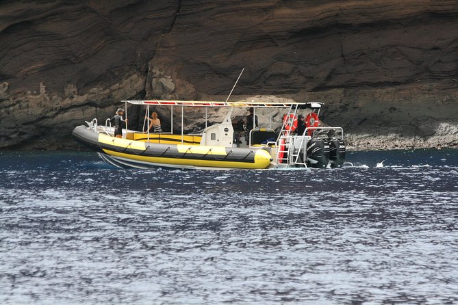 5 Hour Molokini Snorkel & Turtle Tour in Maui - Molokini at 6:30 am, then turtles and coral all in one run