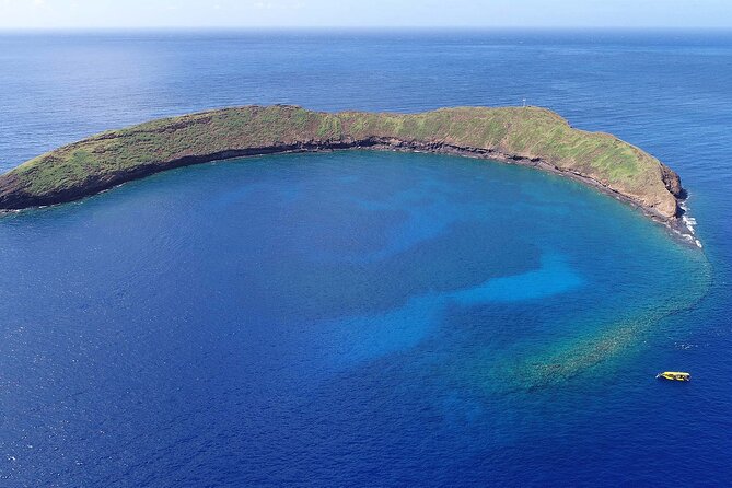 5 Hour Molokini Snorkel & Turtle Tour in Maui - Who should book this Molokini snorkel and turtle combo?