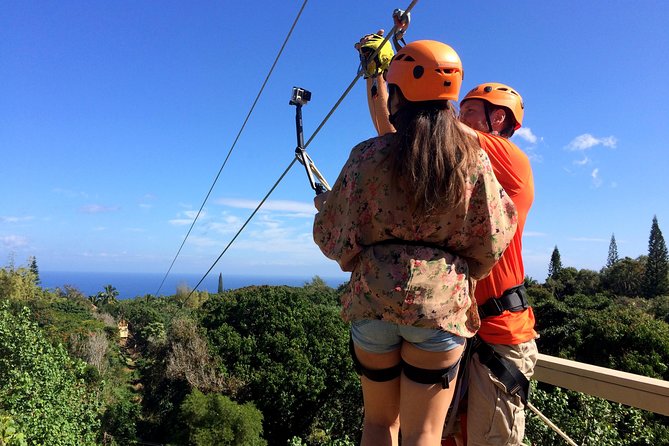 5 Line Jungle Zipline Eco Adventure - Key things to know before you go