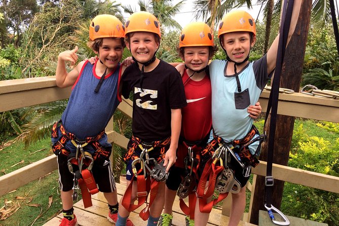 5 Line Jungle Zipline Eco Adventure - The 5-Line Zipline Course, Line by Line in Real Terms
