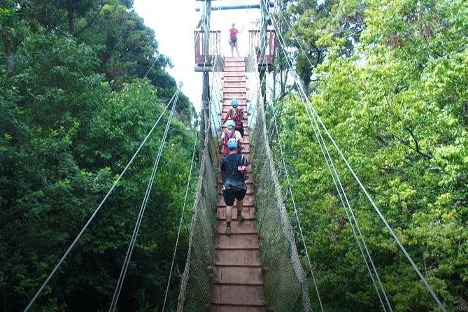 6 Dual-Zipline Mountain Adventure in Maui - Rules that can make or break your day (weight, age, mobility)