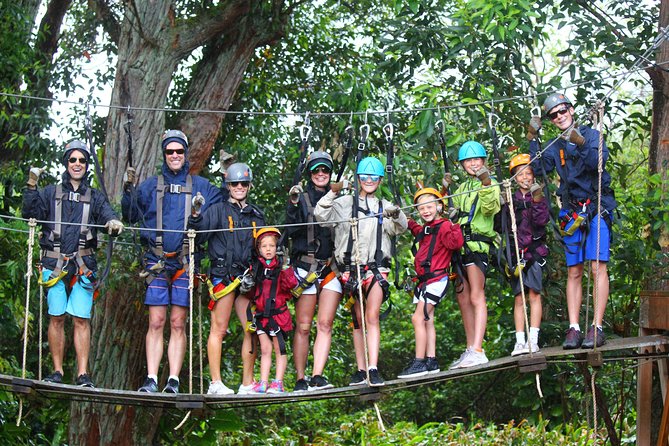7-Line Maui Zipline on the North Shore - Suspension Bridge Between Trees: The Confidence Test