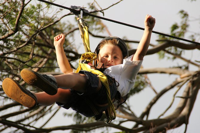 7-Line Maui Zipline on the North Shore - Price and Value: Does $155 Make Sense for Maui?
