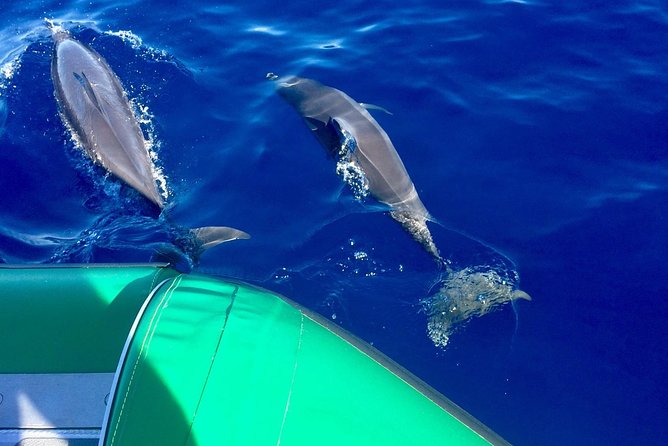 Afternoon Adventure Snorkel from Ka'anapali - Snorkeling with a guide in the water: reef time that feels controlled