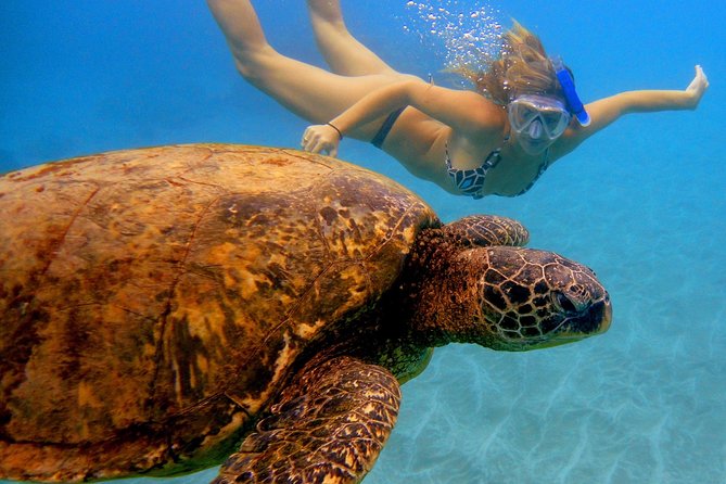 Afternoon Adventure Snorkel from Ka'anapali - On board at sea: lessons, shade, snacks, and a restroom