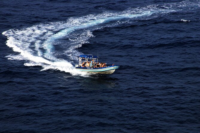 All-Inclusive 5.5 hr La Perouse Bay & Molokini Sea Cave Boat Tour - Food and drinks: breakfast muffin, Hawaiian juices, and a lunch that avoids the hangry trap