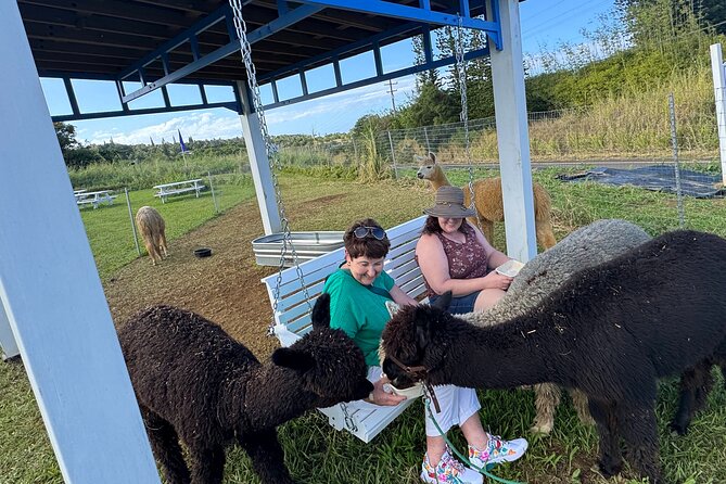 Alpaca Farm Experience on the Road to Hana - What Happens During the 30 Minutes
