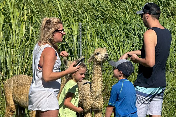 Alpaca Farm Experience on the Road to Hana - Snacks, Water, and Farm Flavors