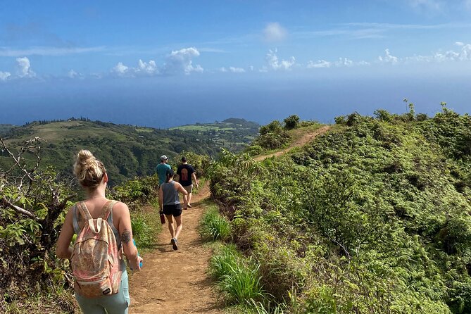 Amazing Maui Ridge Hike - The Trail Plan: 4 Miles Total, With a Smart Turnaround Option