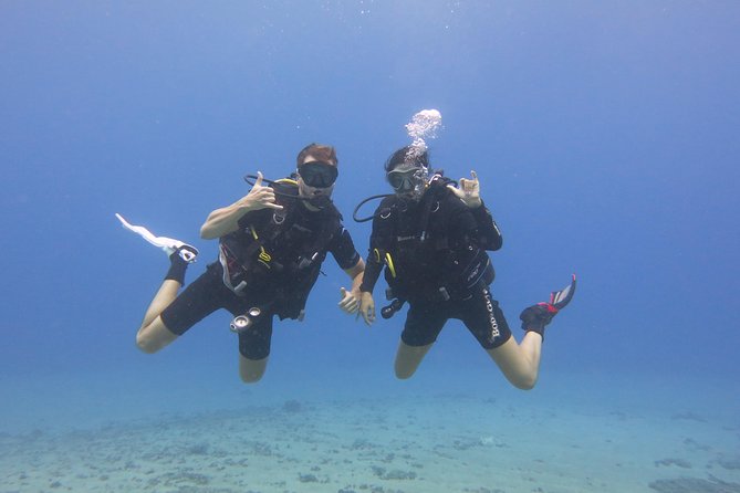 Beginner Scuba Dive in Lahaina: Swimming Required - The Non-Negotiable Swim Requirement