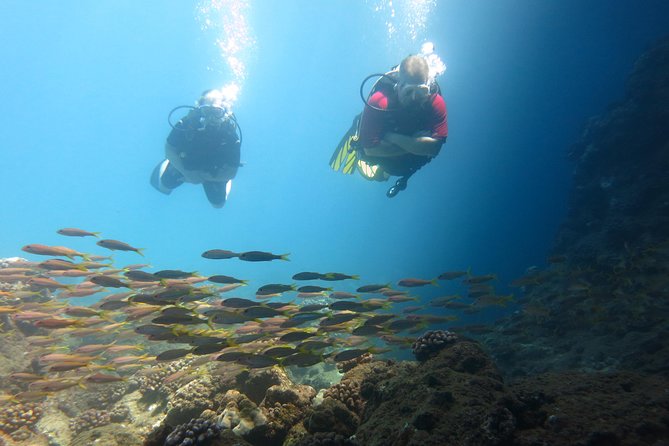 Beginner Scuba Dive in Lahaina: Swimming Required - Medical Statement and the 18-Hour Rule for Flights and High Altitude