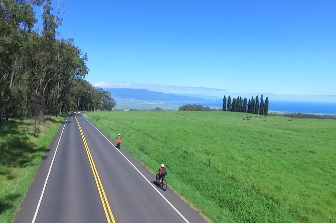 Best Haleakala Downhill Self-Guided Bike Tour with Maui Sunriders - Why This Haleakala Downhill Bike Tour Fits So Many People