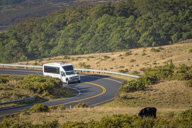 Best of Maui Tour: Sips, Sites and Bites with Lunch - Price and Value at $278.76: When This Feels Fair