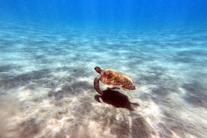 Certified Divers! Scuba dive the Ka'anapali Coast and more! - Sarah, Deborah, and the safety-first vibe that shows up in the details