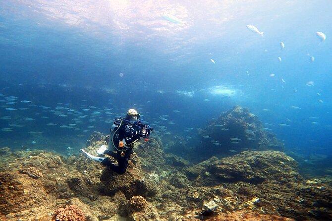Certified Divers! Scuba dive the Ka'anapali Coast and more! - Gear included, what you still need to bring, and why it’s value
