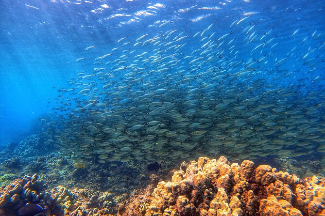 Certified Divers! Scuba dive the Ka'anapali Coast and more! - Meeting at Kahekili Beach Park, and how shore logistics affect comfort