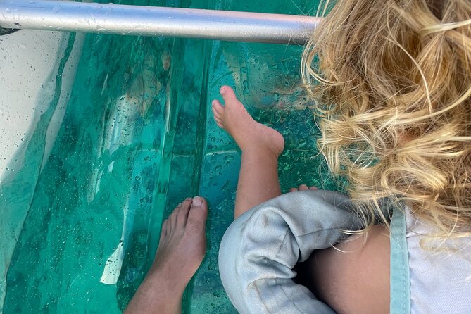 Clear Bottom Glassy Kayak Rental | MAUI | Safe and Stable Kayaks - Key Things You’ll Notice Right Away
